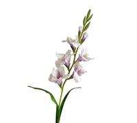 HUFFA Arreglo Floral Artificial de Flor Espada con Ramas de Pegamento Suave for decoración del hogar, Perfecto for Sala de Estar y floricultura(Taro Purple)