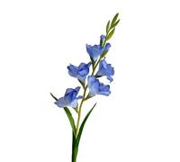 HUFFA Flor Artificial de orquídea Espada - Adornos Decorativos realistas for Sala de Estar y paisajismo Floral(Blue)