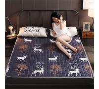 hxoity Colchoneta Plegable 1cm Fina Poliéster Ahorro Espacio Tapete Futón Suelo para Casa Apartamento RV Suave Antideslizante Japonés Tatami Cartoon Dormitorio Estudiantil Sofá Transpirable
