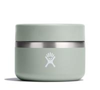 Hydro Flask Tarro de alimentos aislado de agave de 12 onzas