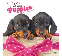 I Love Puppies 2025 12 X 24 Inch Monthly Square Wall Calendar Plastic-Free