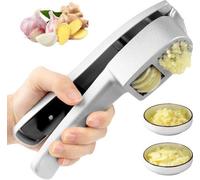 Ibenzoa® Prensa de ajo y rallador de jengibre 2 en 1, con cuchillas de acero inoxidable, aleación de aluminio, 3x3 cm, mango ergonómico antideslizante, apto para lavavajillas