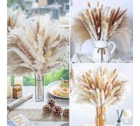 Ibenzoa® Set de decoración con plumas de pampa de 49 piezas, aproximadamente 44 cm – Cañas naturales, hierbas con forma de cola de conejo y plumas de pampa para arreglos secos bohemios, coronas y deco