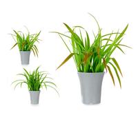 Ibergarden Maceta Alta para Plantas Hojas Surtida 2