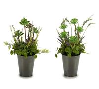 Ibergarden Maceta Planta Alta Surtida 2 Modelos, Pack de 6