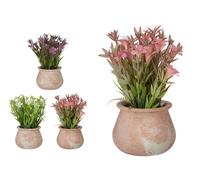 Ibergarden Maceta Terracota Baja con Flores Surtida 3 Colores