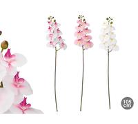 IBERGARDEN Rama de Orquídea 105 cm Surtida