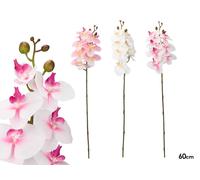 IBERGARDEN Rama de Orquídea 60 cm Surtida
