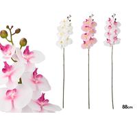 IBERGARDEN Rama de Orquídea 88 cm Surtida Pack de 24