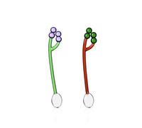 Ichendorf Milano - Juego de 2 cucharillas de uva rosa y verde, colección Fruits & Flowers, H 12 cm, vidrio borosilicato, hecho a mano