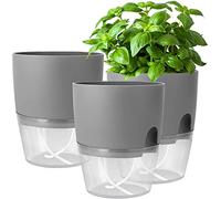 iDattel Juego de 3 macetas para hierbas aromáticas de cocina, Maceta con Sistema Automático, para alféizar de ventana, para hierbas aromáticas, 18,2 x 11 x 15,3 cm, para hierbas frescas, gris