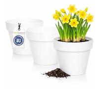 idea-station IBI macetas plastico 3 x 14 cm - Blanco - maceteros Decorativos Interior - jardineras Exterior
