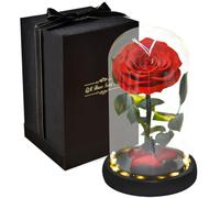 IDEANATEGRATE Caja de Obsequio Luminosa el Principito Flor Preservada Roja y Cúpula de Cristal sin Batería, Adecuado para San Valentín y Decoración Romántica