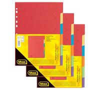 Idena 90266 - Índice de cartón para documentos DIN A4, 22,5 x 30 cm, 18 separadores a todo color en 6 colores, 150 g/m², organizador con europerforación e impresión de organización