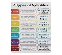 IDGTTLDF Literacy Teacher Resource Metal Sign 7 Types of Syllables Phonics Rules Chart Educational Aluminum Wall-Art for Classroom 8 X 12 inch