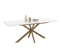 IDMarket - Mesa de Comedor Extensible Rectangular Alix 6-10 Personas Pata de araña de latón Tablero Efecto mármol dorado Alaska 160-200 cm