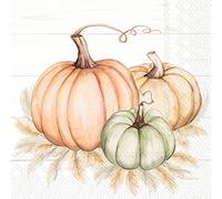 IHR Ideal Home Range Servilletas de fiesta desechables de 3 capas de papel para almuerzo, 6.5 x 6.5 pulgadas, trío de calabaza, 20 unidades
