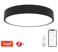 IMMAX NEO RONDATE SLIM SMART: Lámpara de techo, 80 x 7 cm, 65 W, color , tecnología Zigbee 3.0, compatible con TUYA