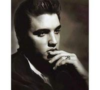 Impresión En Lienzo，Mordern Classic Music Elvis Presley Singer King Of Rock And Roll Poster And Print Wall Art Picture Living Room Home Decor Adecuado Para Todas Las Decoraciones De Pared, 15X20Cm