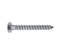 INDEX A PERFECT FIXING TBR10060 - Tornillo tirafondo rosca completa 10x60