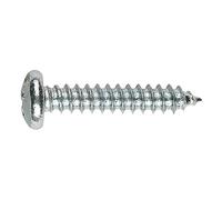 INDEX Fixing Systems DIN-7981 HP Z - Pack de 100 tornillos rosca chapa con cabeza alomada y huella Phillips (cincados, 4,2 x 22 mm)