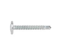 Index Tornillo autotaladrante TAEZ Pack 500 – cabeza alomada baja, Phillips, arandela, 4,2x16 mm