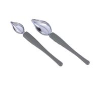 INOOMP 2 Cucharas de Acero Inoxidable para Pintar Salsas y Decoración de Café, Cómodas de Sostener y Portátiles, Utensilios de Cocina en Color Plata para Repostería