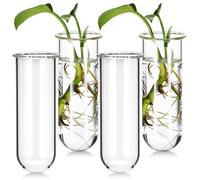 INOOMP Set de 4 Tubos de Ensayo de Vidrio Transparente para Plantas Hidropónicas, Jarrones Pequeños 3,7x4,7x11 Cm, Ideales para Jardinería en Balcón y Decoración de Interiores