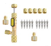 Instalador de núcleo de válvula HVAC para reparación R22 R410A (Kit+5Caps+ | Se adapta a sistemas R410A y R22, construcción de latón, evita la pérdida de refrigerante, tamaño compacto de 20 x 15 mm