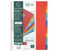 Intercalaires nature future carte lustree 225g 12 positions - a4