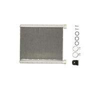 Thermotec D6M021TT - Intercambiador de calor para interior compatible con Mercedes Benz Clase B W246, W242 2468300161 271105DA0A A2468300161