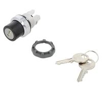 Interruptor 1SFA611281R3001: interruptor giratorio con llave varilla de 22 mm...