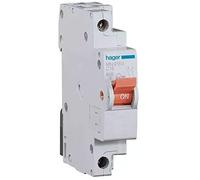 Interruptor automático magnetotérmico serie MN, 1P+N, 40A, curva C, 6KA, 1 mód