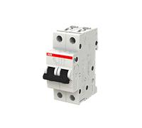 Interruptor automático S202-B6, 2P, curva tipo B, 6 A, capacidad de corte máxima de 6 kA a 400 VAC (Referencia: ABB 2CDS252001R0065)