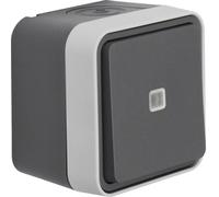 Interruptor de cambio Hager AP WNC003 W.1, grado de protección IP55, color gris