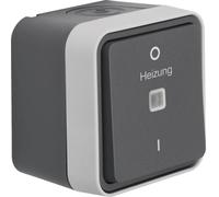 Interruptor de control Hager, 2 polos, para calefacción 0/1, de superficie, 10A, 250V, conexión W.1, IP55, color gris, paquete de 10 unidades.
