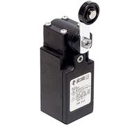 Interruptor de fin de carrera Pizzato Elettrica FR 531-M2 250 V/AC 6 A palanca giratoria de rodillo de refuerzo IP67 1 pc(s)