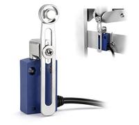 Interruptor de Límite C6N-P109L2 Final de Carrera Impermeable de 2 Metros con Cable Autorreajustable 1NO 1NC 250V 6A para Control Industrial y Automatización(C6N-P109L1)