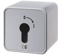 Interruptor de llave Hager AP WDE4466 para perfil de media cilindro, fundido a presión, grado de protección IP44