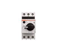 LOVATO ELECTRIC Interruptor motorizado 2,5÷4A 230÷690VAC IP20