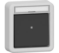 Interruptor De Palanca LED De 2 Polos Con Espacio Para Etiqueta Gris - 311235
