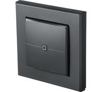 Interruptor de pared Homematic IP de 2 vías, color antracita HmIP-WRC2-A