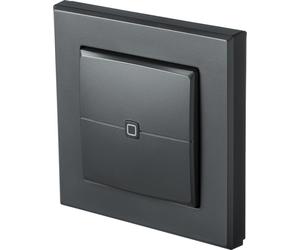 Interruptor de pared Homematic IP de 2 vías, color antracita HmIP-WRC2-A
