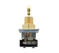 Interruptor de sensor de flujo de bomba de agua de paletas HFS-25 HFS-20 HFS-15 Interruptor de flujo de agua NPT 1" 1/2" 1/4" Interruptor controlador de nivel de líquido