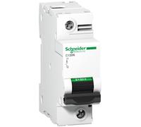 Interruptor de sobrecorriente 1P B 125A 10kA AC C120N A9N18343