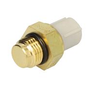 Interruptor de temperatura, ventilador de radiador CALORSTAT BY VERNET TS2442
