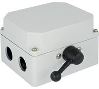 Interruptor triangular estrella reversible Elektra encapsulado VNWYG 32 VN