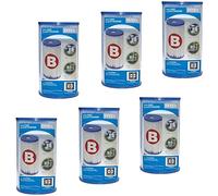 Intex 29005-6 x Cartucho de filtro tipo B para piscina depuradora