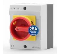 Intratec Interruptor principal 25A 4 polos - IP65 Interruptor seccionador con caja de plástico - Interruptor de seguridad para maquinaria industrial 230V/400V - Interruptor rotativo robusto