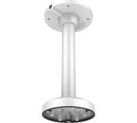 IPCam Levelone CAS-7317 Pendelhalterung